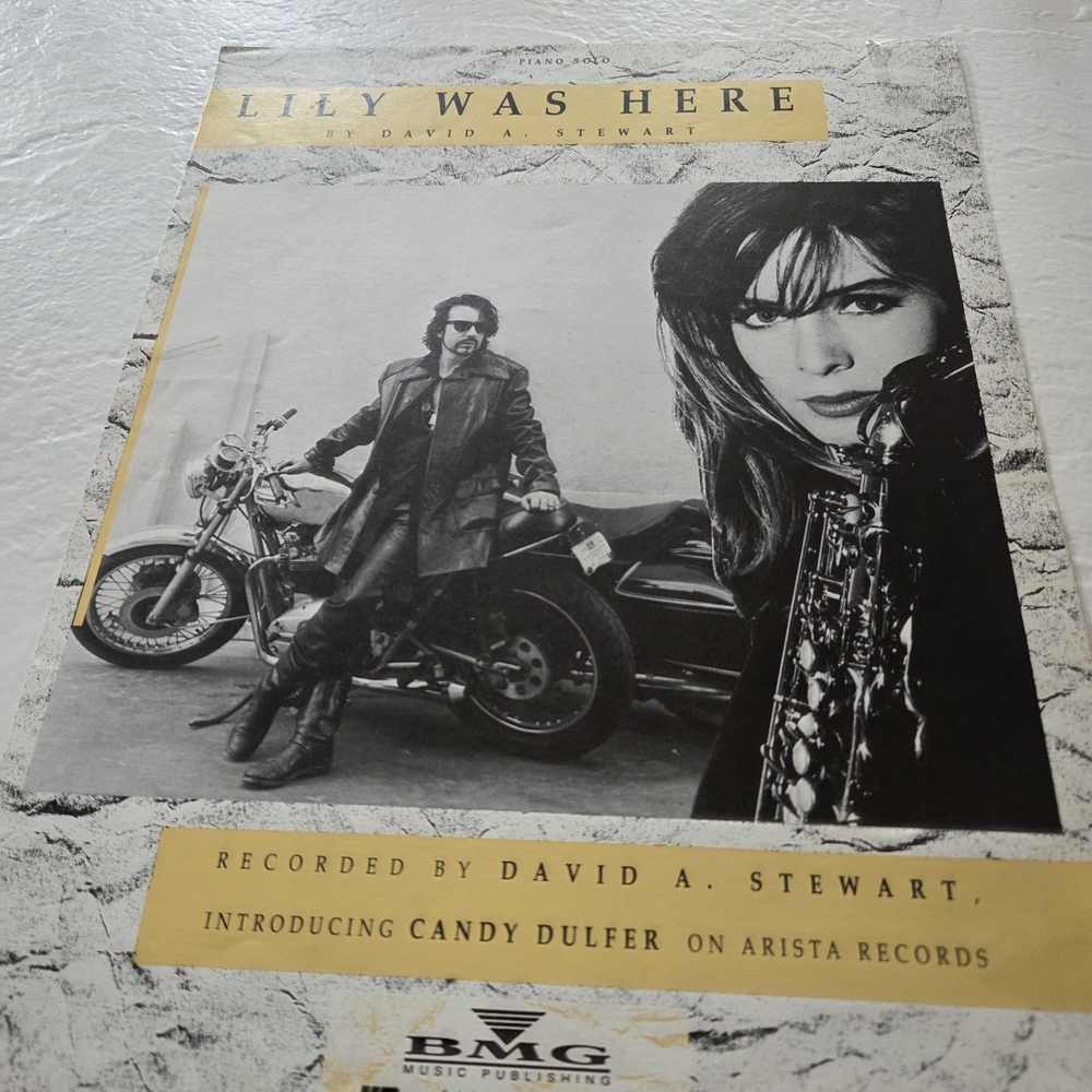 Vintage Lily Was Here Piano Solo by David A. Stewart – Album Art Print